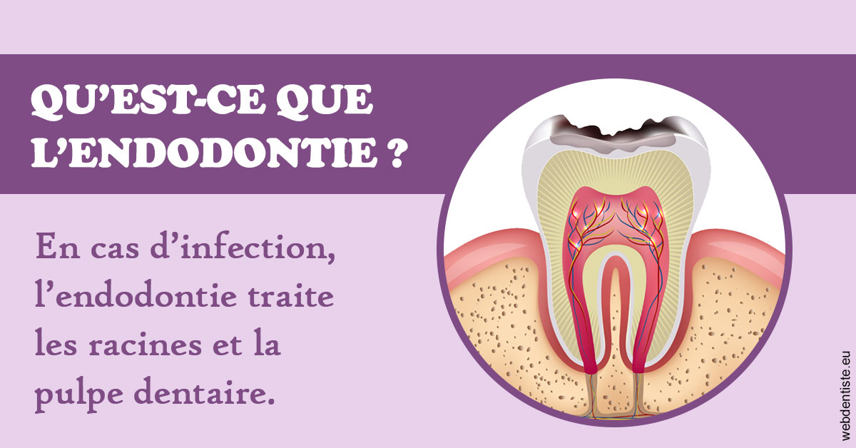 https://www.clinilac.ch/2024 T1 - Endodontie 02