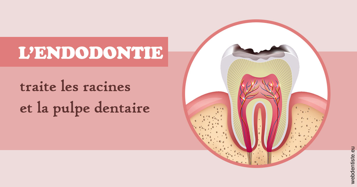 https://www.clinilac.ch/L'endodontie 2